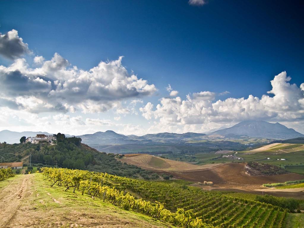 Agriturismo Sirignano Wine Resort Extérieur photo